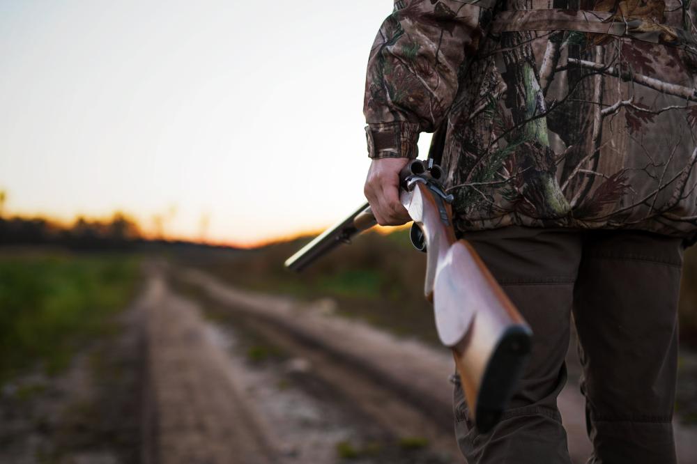 Accueil chasse